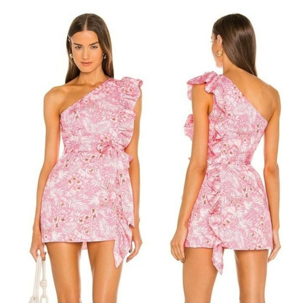LOVERS + FRIENDS Seana Tropical Pink One Should Ruffle Dress SZ XL
